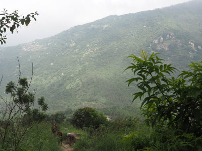 Climbing Nandi Hills
