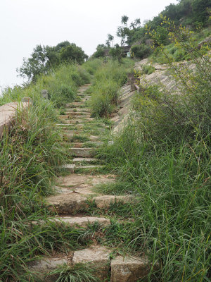 Section of the Nandi Hills trail