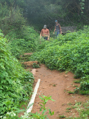 BEfore reaching the Nandi Hill trail itself