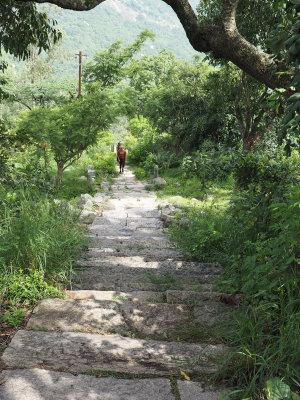 Steps to be climbed - Nandi Hills trail
