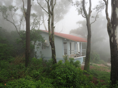 Cabin overlooking Nandi Hills
