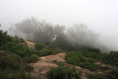 Morning fog on Nandi Hills
