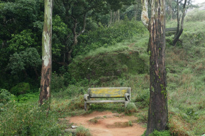 A place to enjoy the views from on Nandi Hills