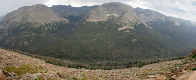 Panorama - A view from Trail Ridge Road