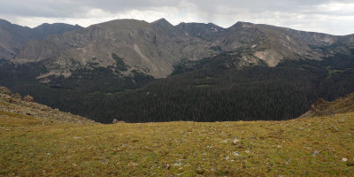 A view from Trail Ridge Road