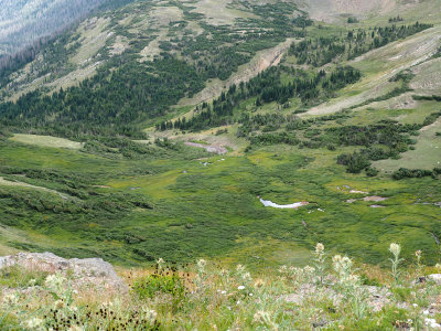Valley below the Alpine Visitor Center
