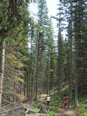 Trail at Lake Brainard Recreation area