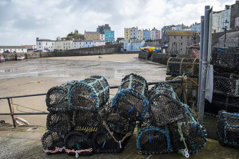 Harbourside Scene 