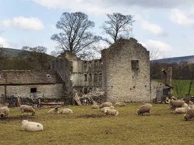 Ruined farm building