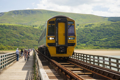Train on Viaduct