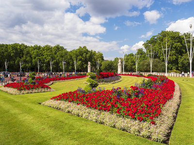 Floral display