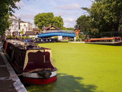 Little Venice