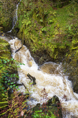 Afon Mynach