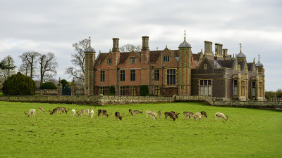 Deer herd with house beyond