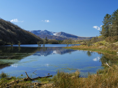 Llyn Cynwch and Cadair Idris