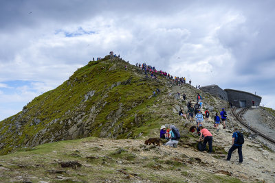 Crowds at the summit