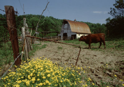 Hall Farm 