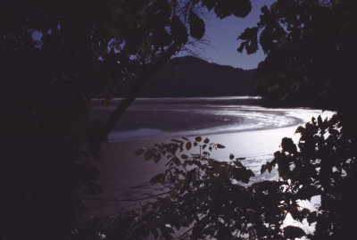 moonlight on lake