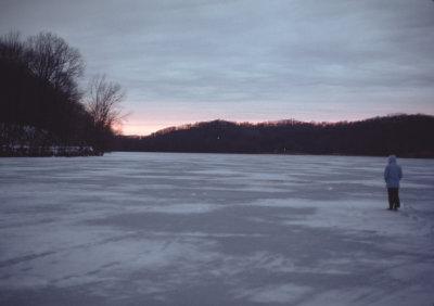 frozen Radnor Lake