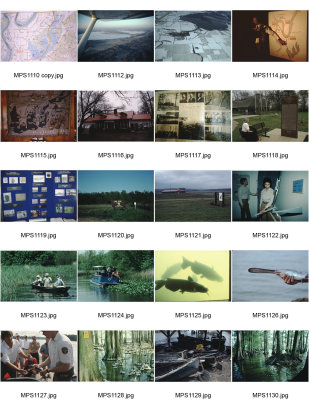 g12/55/679455/3/170333688.8ozu46Tc.jpg