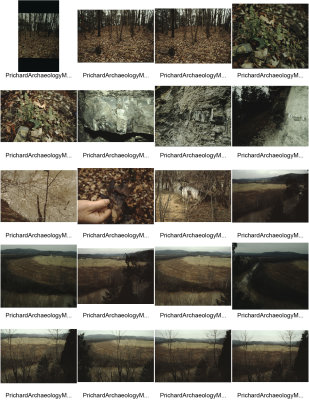 Mound Bottom 1992