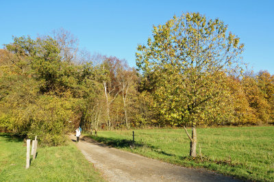 November Walk / 2