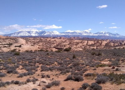 La Sal Mountains and Petrified Sand Dunes