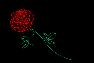 Neon Rose 2987.jpg