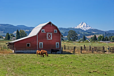 Red Barn 2789_HDR Metal 12x18.jpg