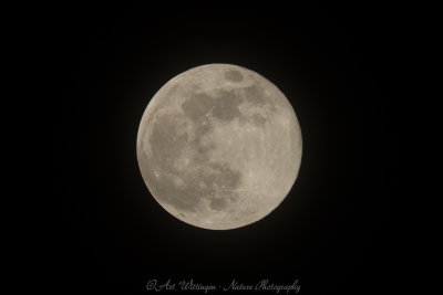 Luna / Maan / Moon