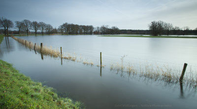 Dinkel flooded