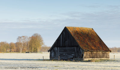 Oude schuur / Old barn