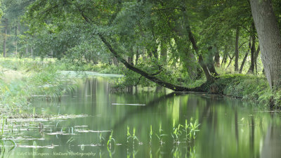 Landgoed Singraven