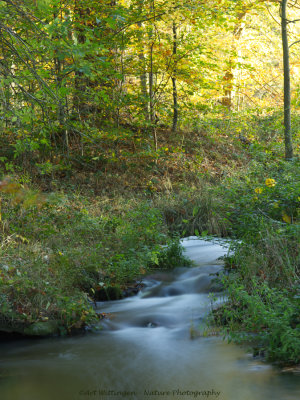 Herfst / Autumn