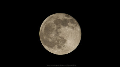 Moon / Maan
