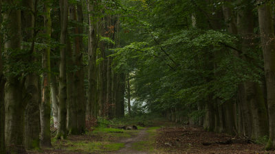 _MG_4452 Smalenbroek.jpg