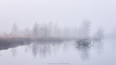 Mist over the Haaksbergerveen