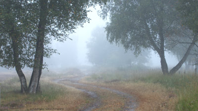 Misty route