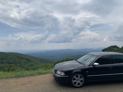 IMG_9051.JPG