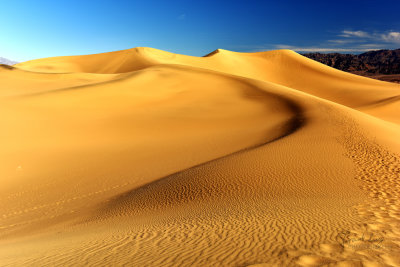 frank_photography-11.jpg