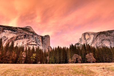 frank_photography-15.jpg