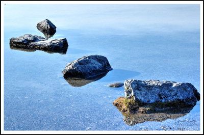 frank_photography-3.jpg
