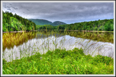 frank_photography-9.jpg