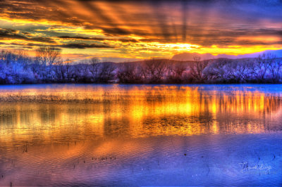 frank_photography0-29.jpg