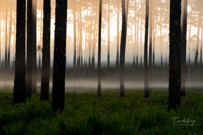 frank_photography0-51.jpg