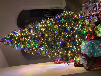 sarahtree.jpg