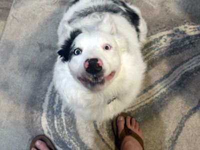 boscoe.jpg