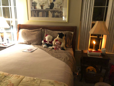 bedside.jpg