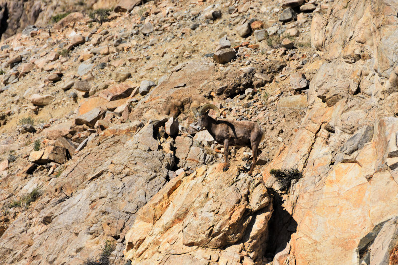 DSC_0132.jpg