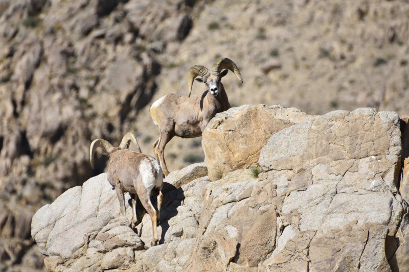 DSC_0165.jpg
